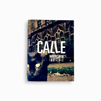 Proyecto Calle. Fanzine