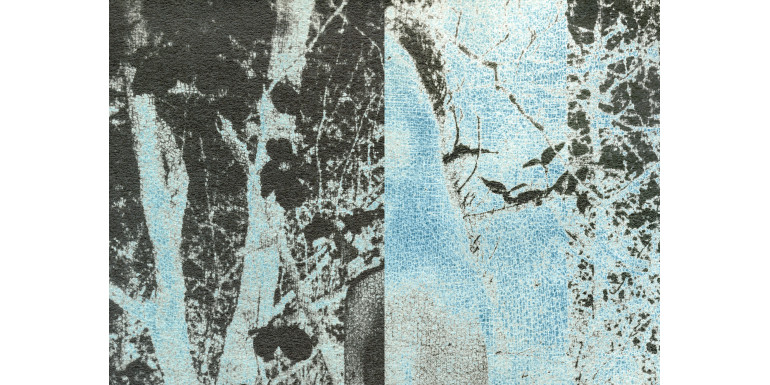Un mar íntimo - Francisca López